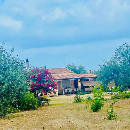 Apple House *